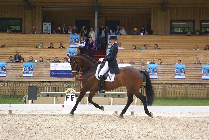 First Horse Grand Prix - 29 maj 2011 billede 14