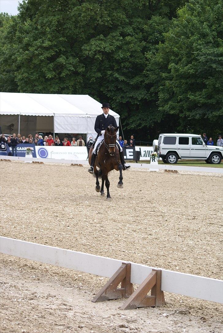 First Horse Grand Prix - 29 maj 2011 billede 17