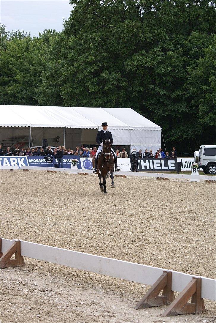 First Horse Grand Prix - 29 maj 2011 billede 21