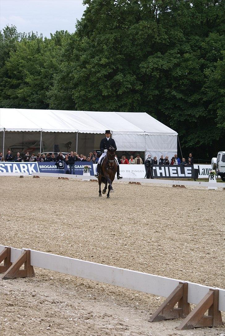 First Horse Grand Prix - 29 maj 2011 billede 22