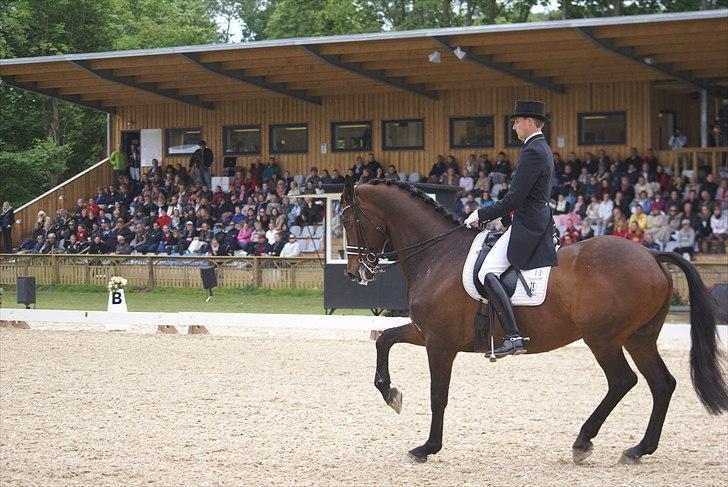 First Horse Grand Prix - 29 maj 2011 billede 25