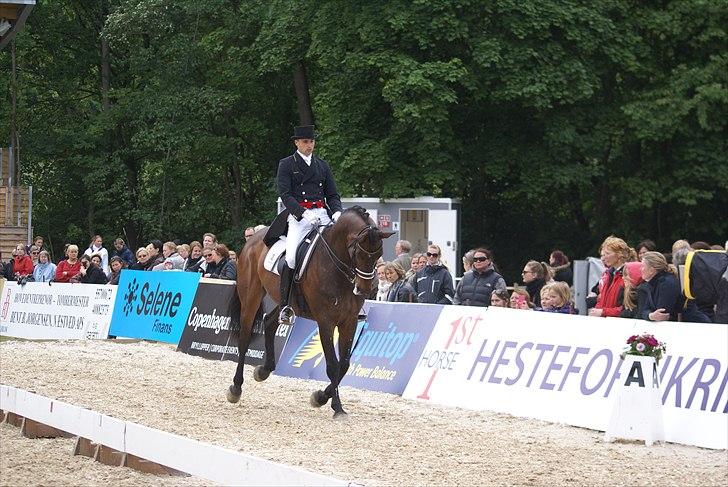 First Horse Grand Prix - 29 maj 2011 billede 34