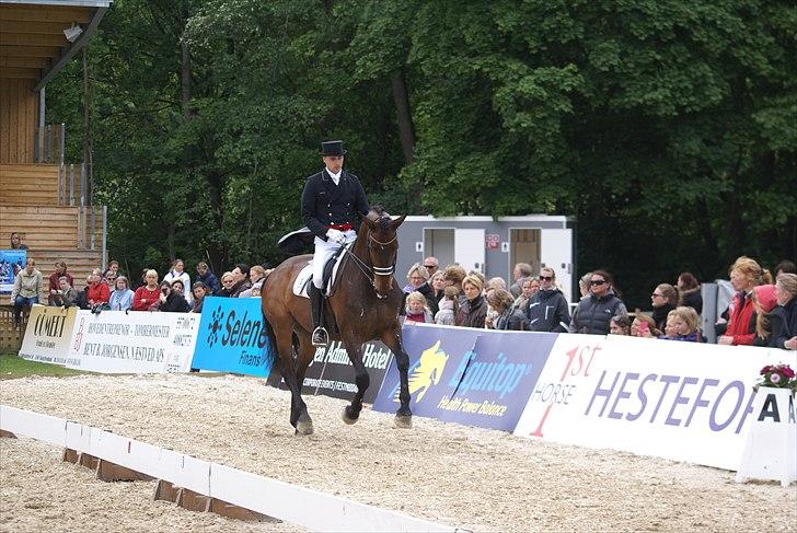 First Horse Grand Prix - 29 maj 2011 billede 35