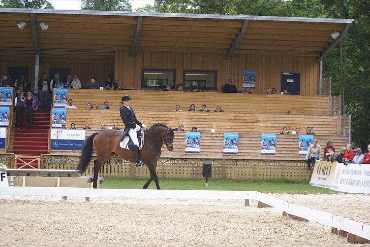 First Horse Grand Prix - 29 maj 2011 billede 36