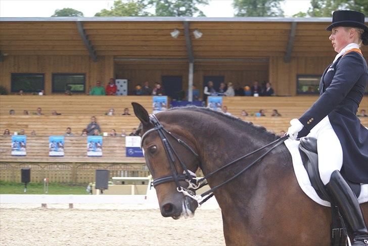 First Horse Grand Prix - 29 maj 2011 billede 46