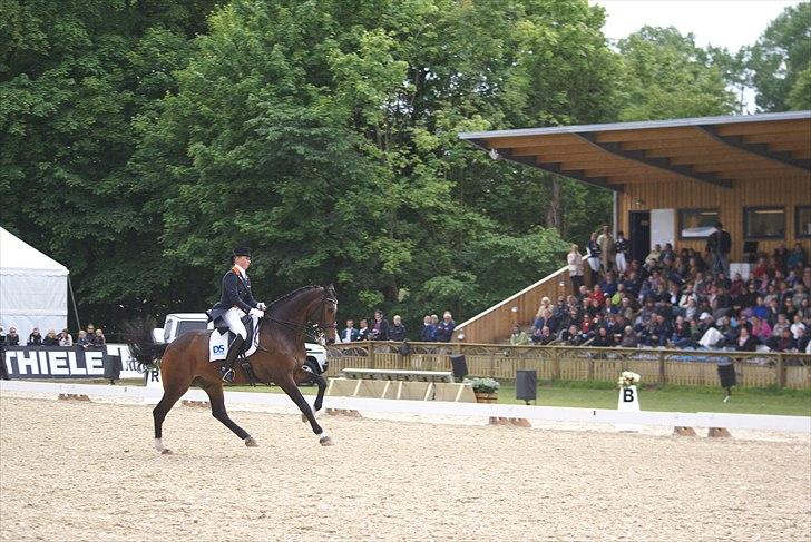 First Horse Grand Prix - 29 maj 2011 billede 49