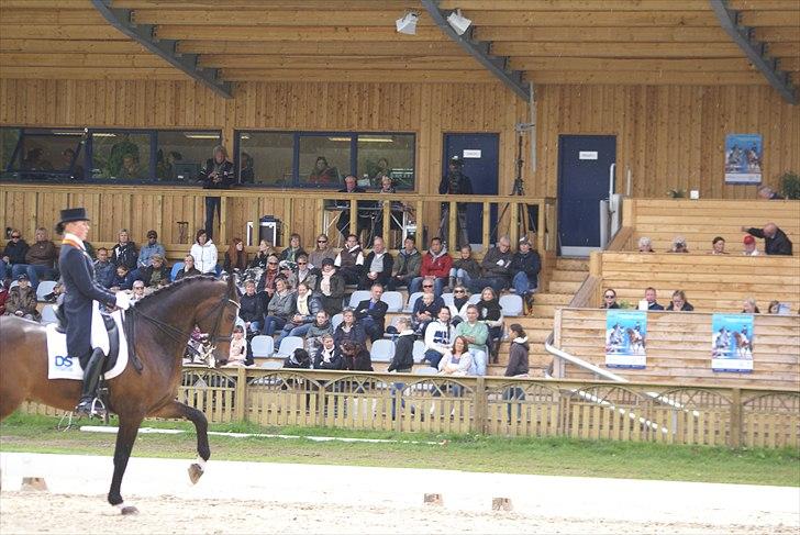 First Horse Grand Prix - 29 maj 2011 billede 54