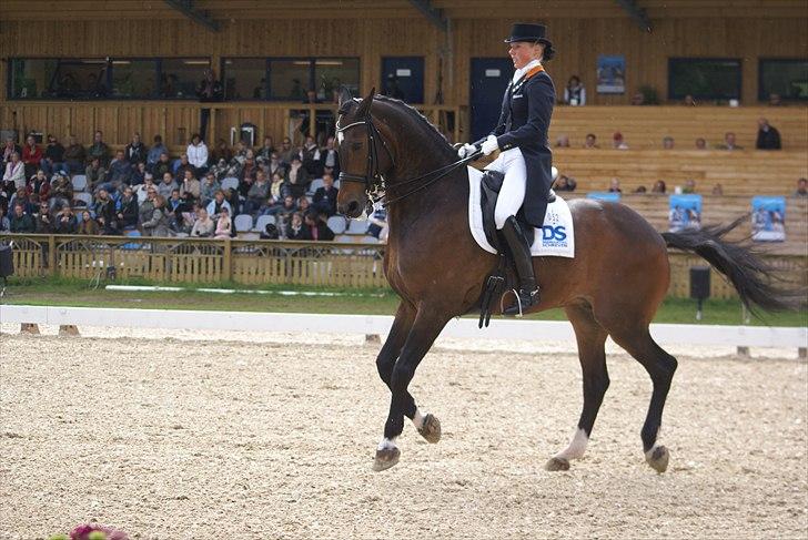 First Horse Grand Prix - 29 maj 2011 billede 59