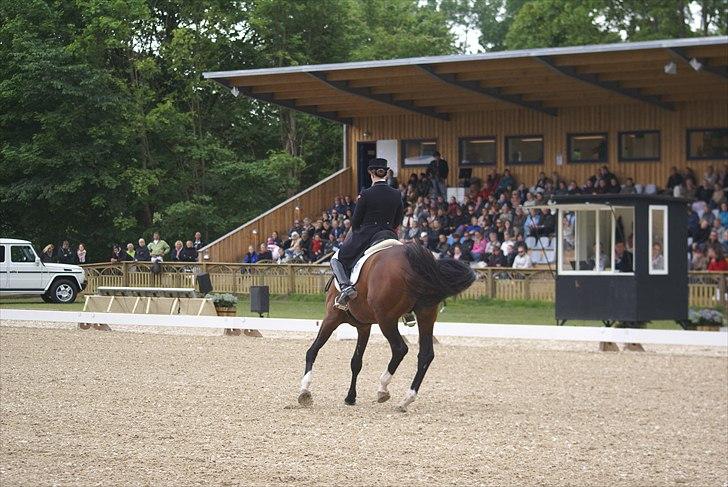 First Horse Grand Prix - 29 maj 2011 billede 66