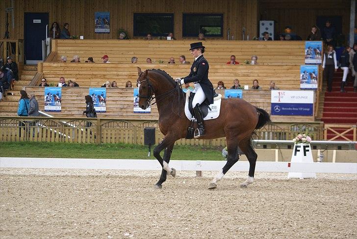 First Horse Grand Prix - 29 maj 2011 billede 70