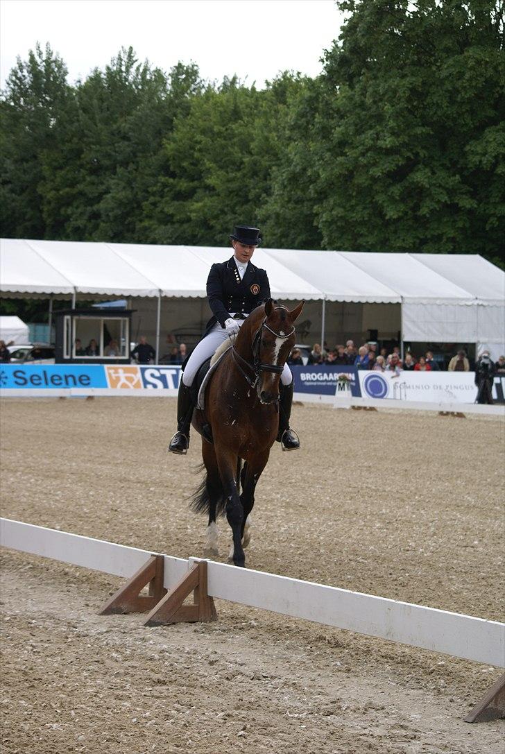 First Horse Grand Prix - 29 maj 2011 billede 71