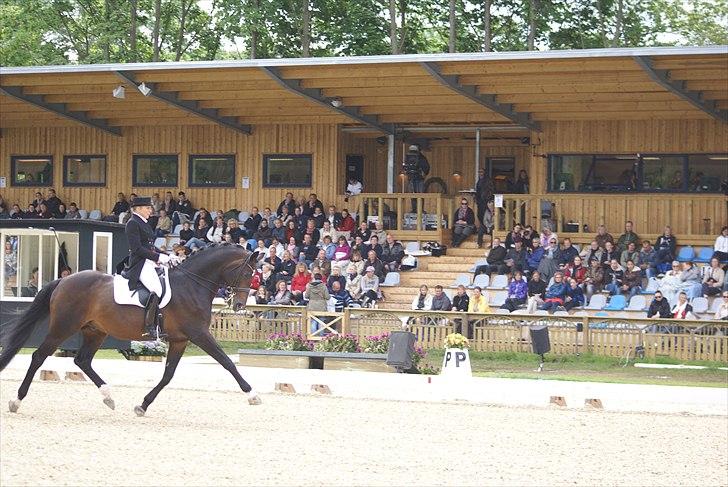 First Horse Grand Prix - 29 maj 2011 billede 83