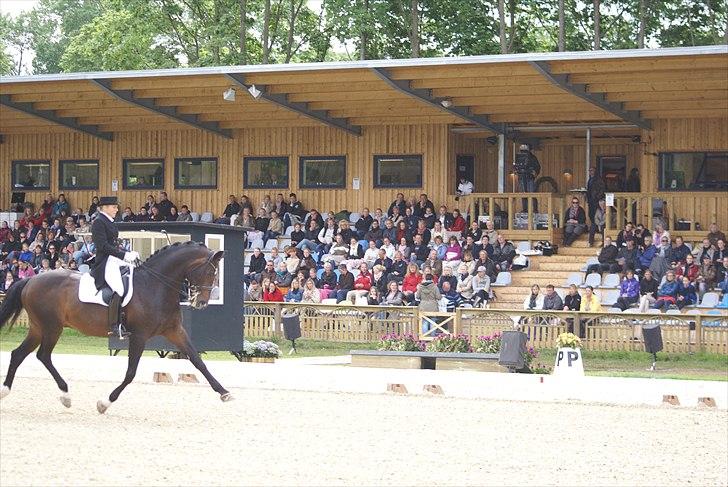 First Horse Grand Prix - 29 maj 2011 billede 84