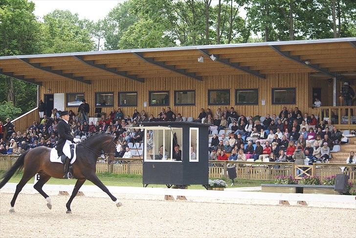 First Horse Grand Prix - 29 maj 2011 billede 85