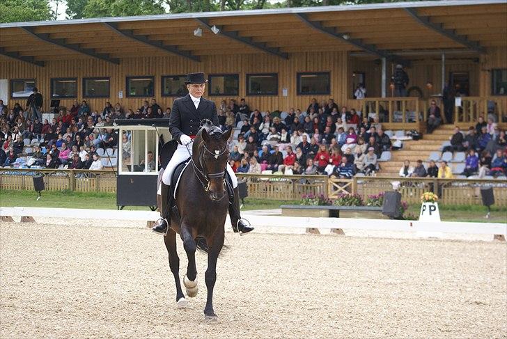 First Horse Grand Prix - 29 maj 2011 billede 88