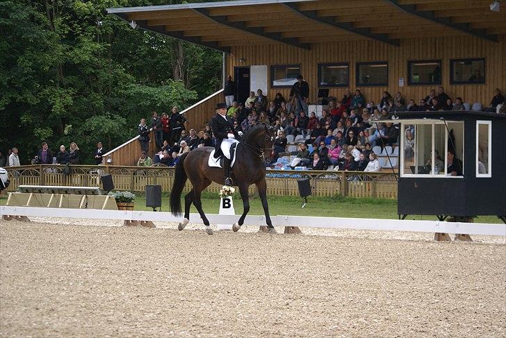 First Horse Grand Prix - 29 maj 2011 billede 90