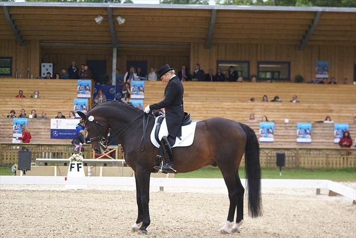 First Horse Grand Prix - 29 maj 2011 billede 91