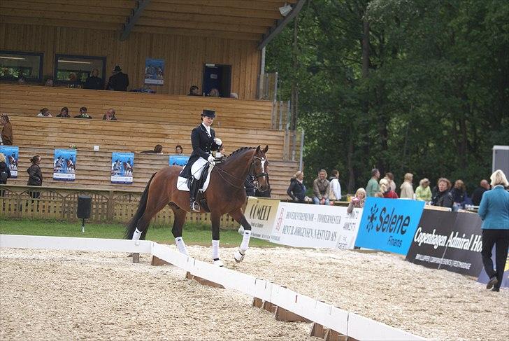 First Horse Grand Prix - 29 maj 2011 billede 92