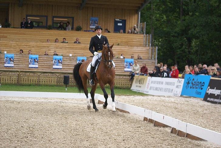 First Horse Grand Prix - 29 maj 2011 billede 95