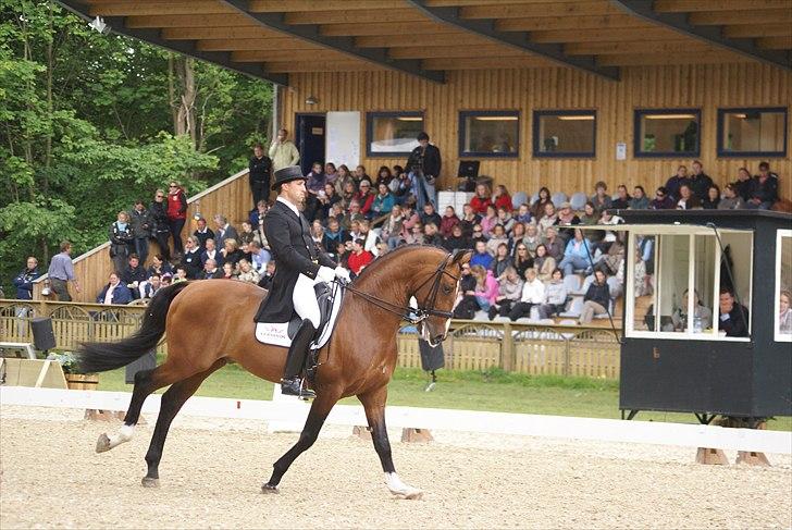 First Horse Grand Prix - 29 maj 2011 billede 97