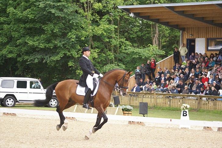 First Horse Grand Prix - 29 maj 2011 billede 98