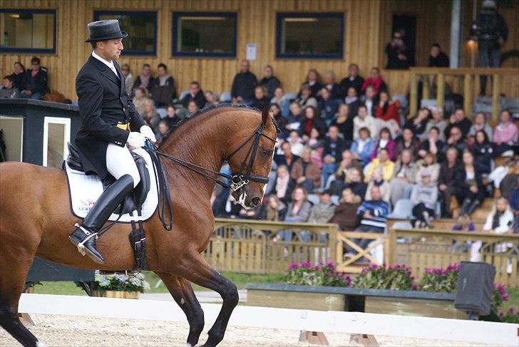 First Horse Grand Prix - 29 maj 2011 billede 105