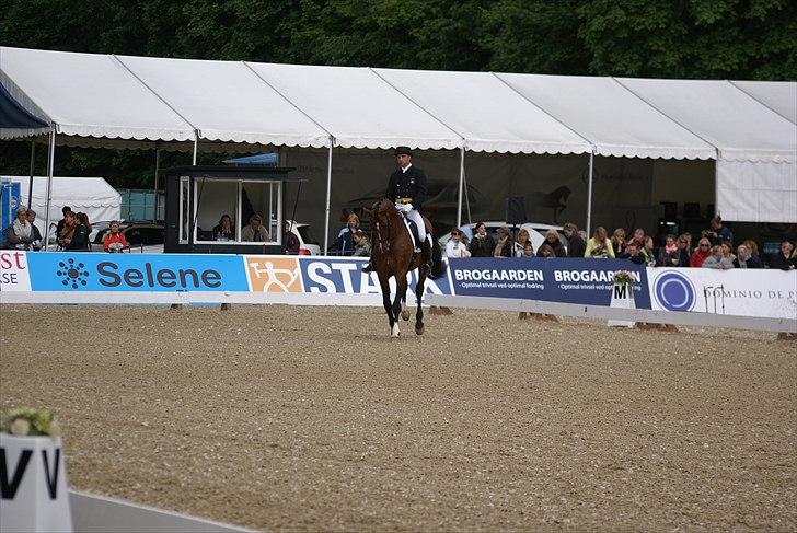 First Horse Grand Prix - 29 maj 2011 billede 111