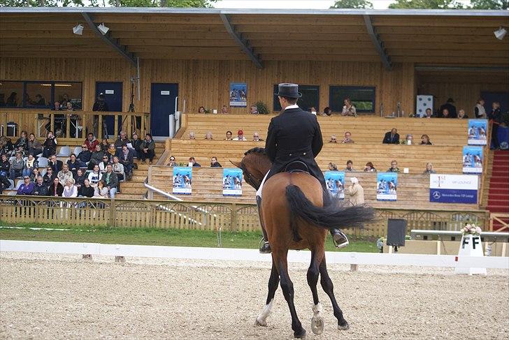 First Horse Grand Prix - 29 maj 2011 billede 114