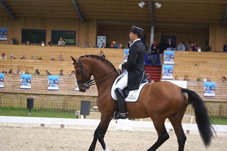 First Horse Grand Prix - 29 maj 2011 billede 119