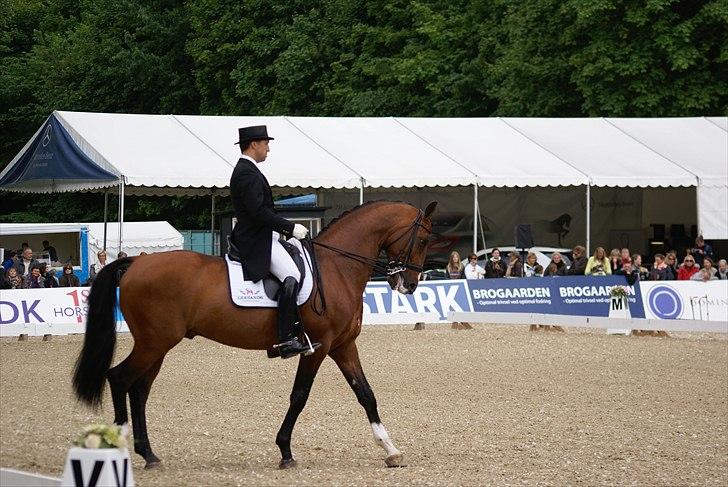 First Horse Grand Prix - 29 maj 2011 billede 127