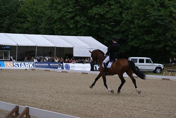 First Horse Grand Prix - 29 maj 2011 billede 128