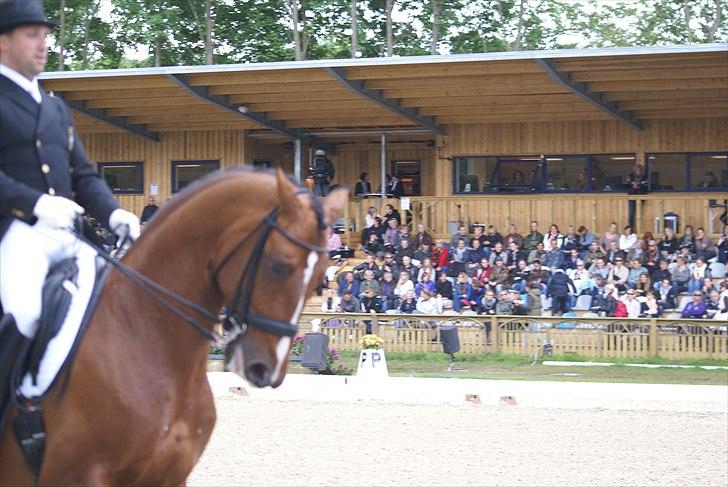 First Horse Grand Prix - 29 maj 2011 billede 133