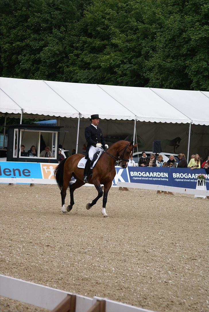 First Horse Grand Prix - 29 maj 2011 billede 141