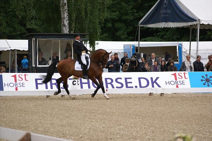 First Horse Grand Prix - 29 maj 2011 billede 143