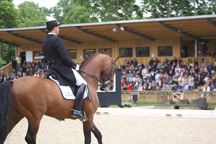 First Horse Grand Prix - 29 maj 2011 billede 145