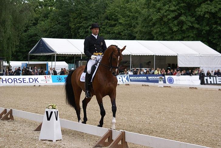 First Horse Grand Prix - 29 maj 2011 billede 148