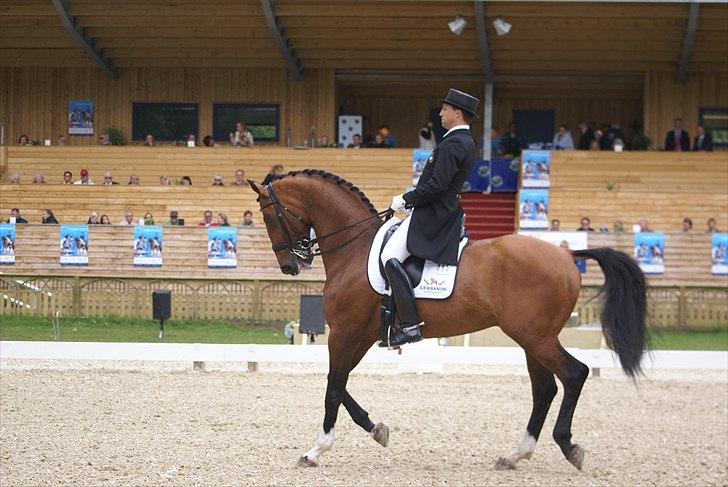 First Horse Grand Prix - 29 maj 2011 billede 150