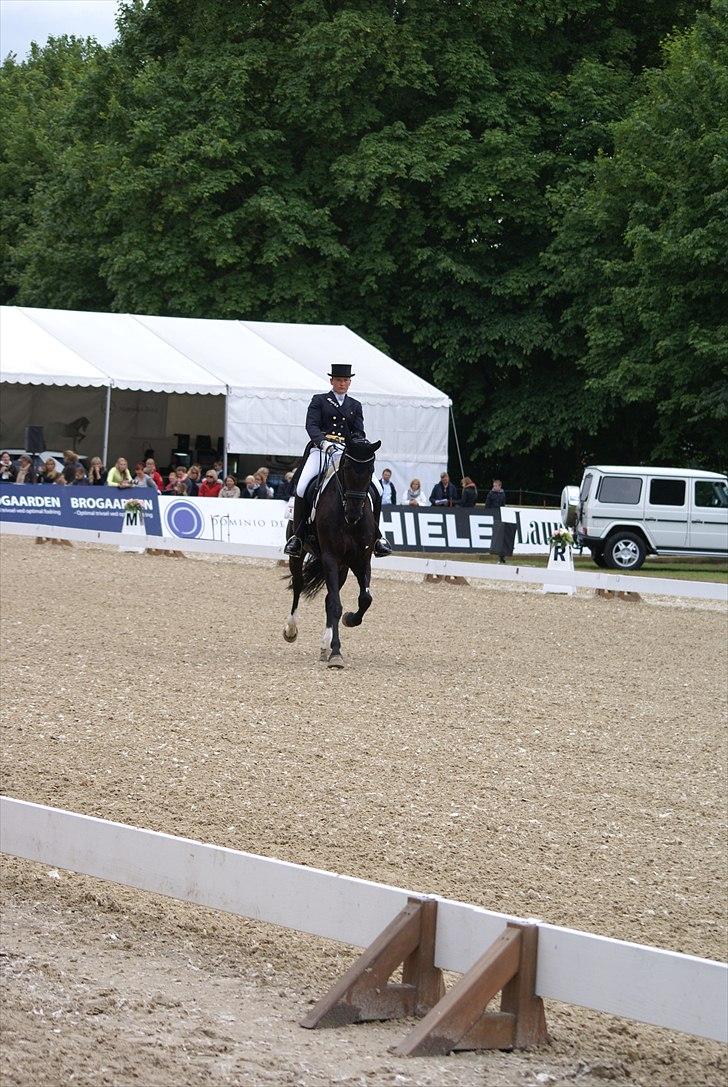 First Horse Grand Prix - 29 maj 2011 billede 156