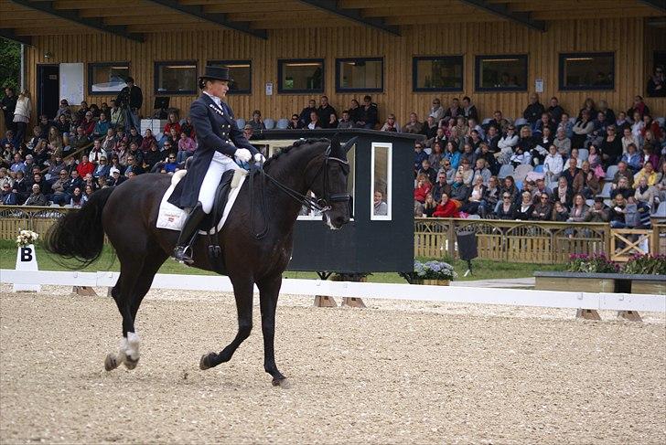 First Horse Grand Prix - 29 maj 2011 billede 163