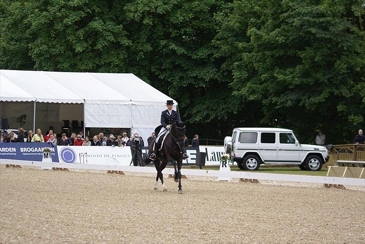 First Horse Grand Prix - 29 maj 2011 billede 169