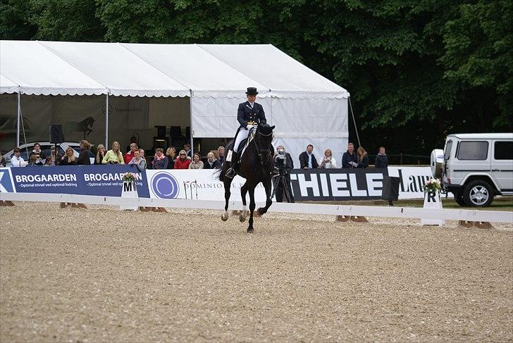 First Horse Grand Prix - 29 maj 2011 billede 171