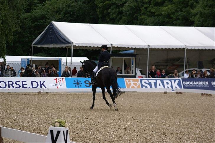 First Horse Grand Prix - 29 maj 2011 billede 173