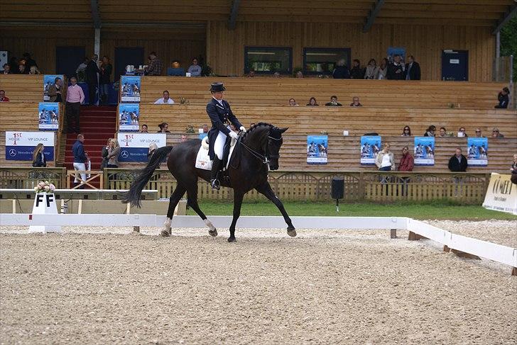 First Horse Grand Prix - 29 maj 2011 billede 182