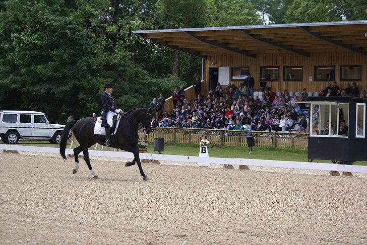 First Horse Grand Prix - 29 maj 2011 billede 185