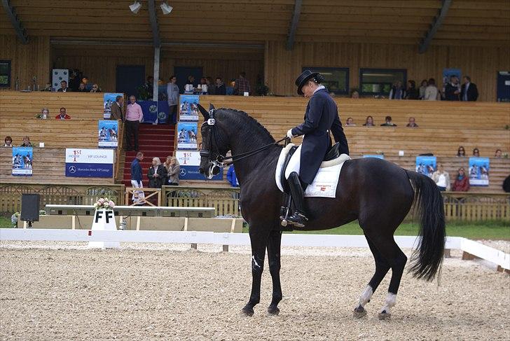 First Horse Grand Prix - 29 maj 2011 billede 188