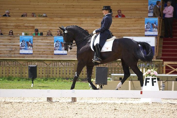 First Horse Grand Prix - 29 maj 2011 billede 189