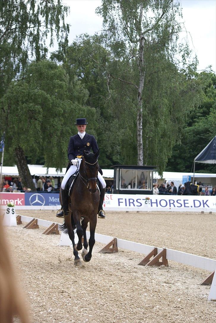 First Horse Grand Prix - 29 maj 2011 billede 203