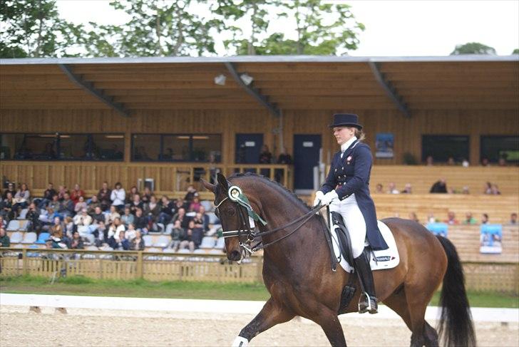 First Horse Grand Prix - 29 maj 2011 billede 216