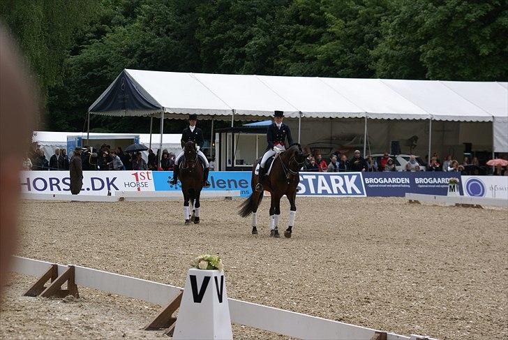 First Horse Grand Prix - 29 maj 2011 billede 226