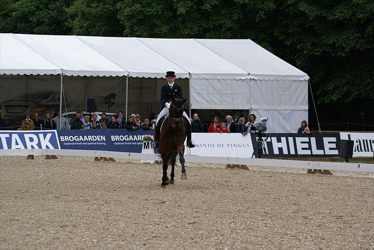 First Horse Grand Prix - 29 maj 2011 billede 236